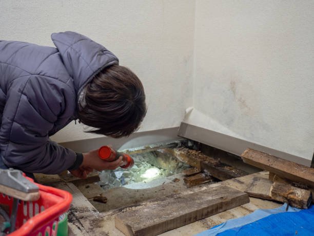 Best Commercial Mold Inspection  in Country Squire Lakes, IN