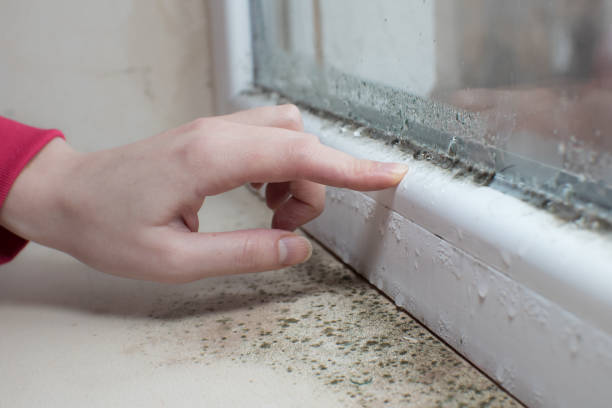Best Industrial Mold Remediation  in Country Squire Lakes, IN