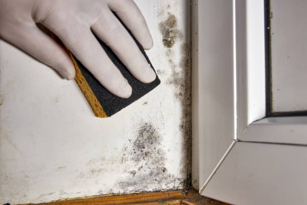 Best Mold Remediation for Healthcare Facilities  in Country Squire Lakes, IN