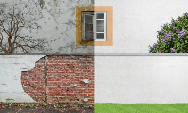Best Attic Mold Removal  in Country Squire Lakes, IN