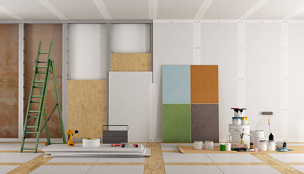 Best Post-Construction Mold Inspection  in Country Squire Lakes, IN